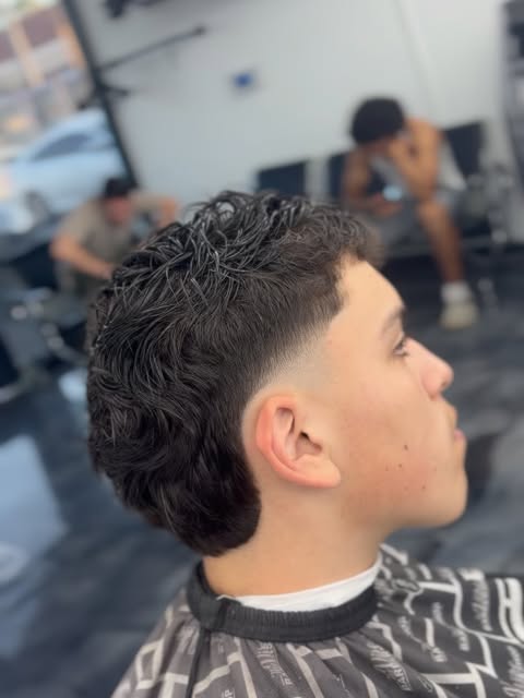 Curly top with a clean low fade